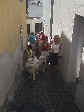 044.JPG - OLYMPUS DIGITAL CAMERA