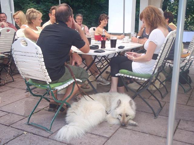 048.JPG - OLYMPUS DIGITAL CAMERA