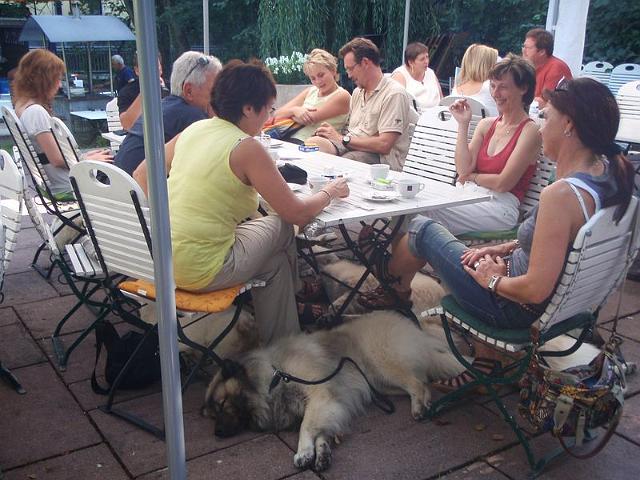 051.JPG - OLYMPUS DIGITAL CAMERA